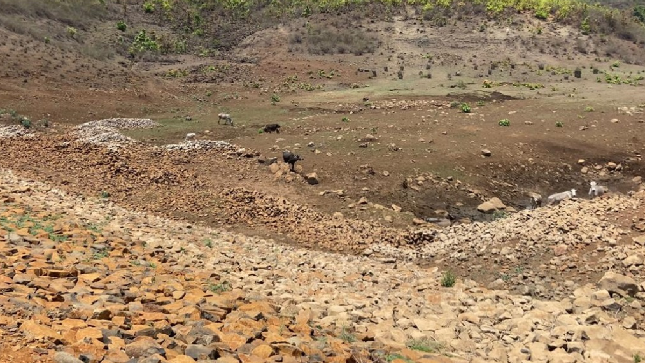 Dindori: करोड़ों रुपये खर्च करने के बाद भी बूंद-बूंद को तरस रहे ग्रामीण Dindori: करोड़ों रुपये खर्च करने के बाद भी बूंद-बूंद को तरस रहे ग्रामीण