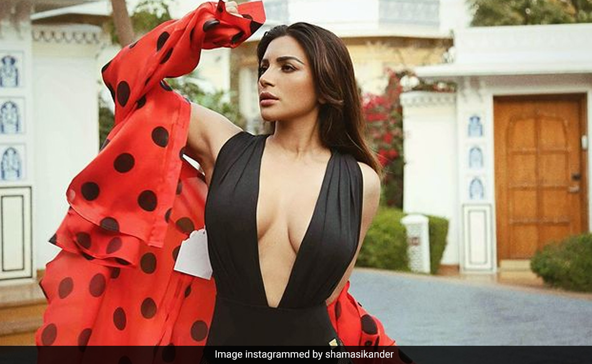 In A Plunging Black Monokini And Fishnet Stockings, Shama Sikander Is The Reason Behind The April Heat
