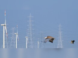 Opinion | Right Against Climate Change And The Need To Go Beyond 'Greenwashing' Opinion | Right Against Climate Change And The Need To Go Beyond 'Greenwashing'