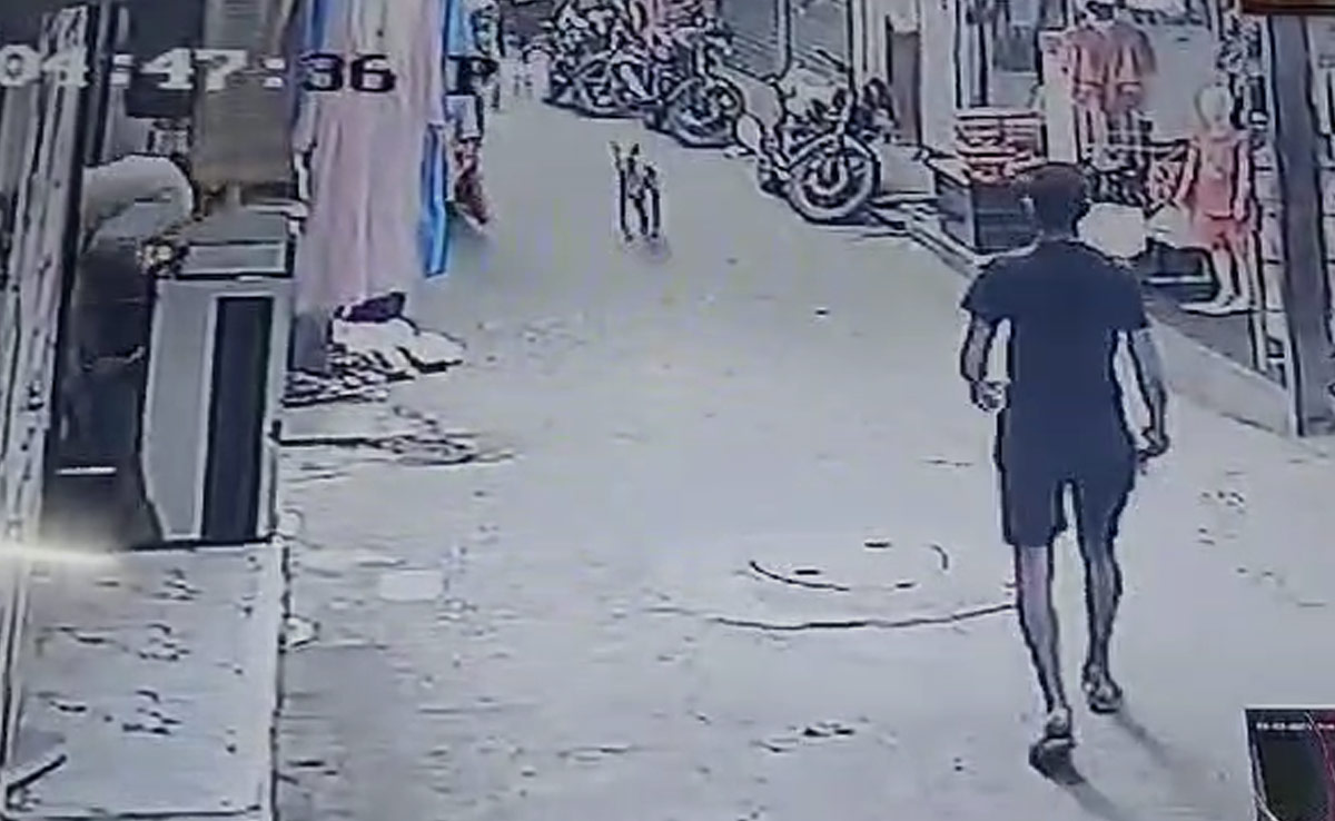 MP News: राजधानी भोपाल में फिर दिखा कुत्तों का आतंक, मासूम बच्चों को बनाया निशाना...सीसीटीवी में कैद हुई घटना