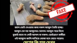 Were Fake Fingers Used For Voting Fraud In Lok Sabha Polls? A Fact Check