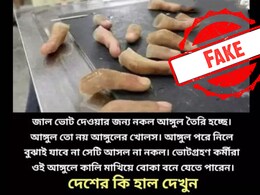 Were Fake Fingers Used For Voting Fraud In Lok Sabha Polls? A Fact Check