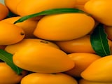 Storing Mangoes At This Exact Temperature Keeps Them Fresh Far Longer Storing Mangoes At This Exact Temperature Keeps Them Fresh Far Longer