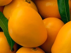 Storing Mangoes At This Exact Temperature Keeps Them Fresh Far Longer