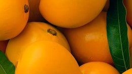 How To Identify Real And Fake Mangoes? Nutritionist Explains