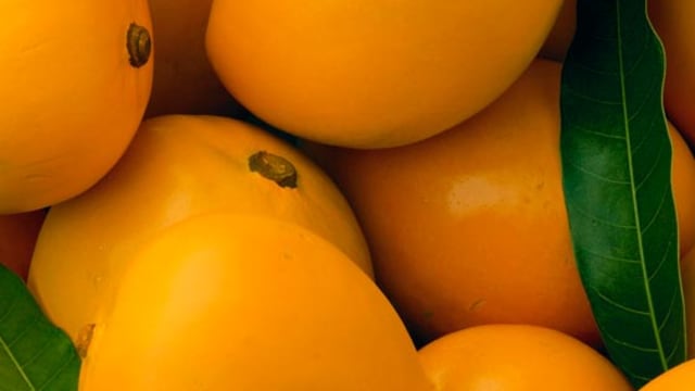 If you still feel iffy, soak your mangoes in water for a few hours to wash off residue