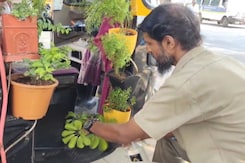 This Auto Driver From Pune Transforms Vehicle Into Mobile Garden This Auto Driver From Pune Transforms Vehicle Into Mobile Garden