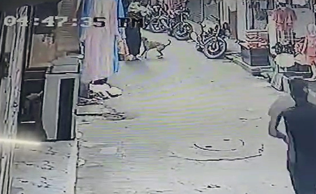 भोपाल में कुत्ते ने दो बच्चों को बनाया शिकार , CCTV में कैद हुई भयावह घटना