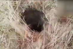 6-Year-Old Boy Falls In Borewell In Madhya Pradesh's Rewa, Rescue Ops On 6-Year-Old Boy Falls In Borewell In Madhya Pradesh's Rewa, Rescue Ops On