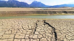 India's Reservoirs Storage Level Drop To 24%, Southern States Hit Hardest: Official Data