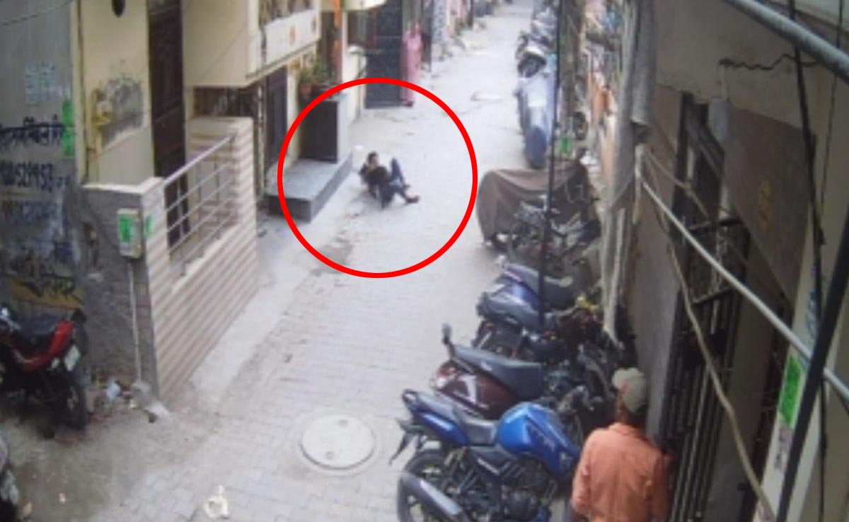 Pit Bull Attacks Boy, Stray Dogs Try To Rescue Him As Locals Look On