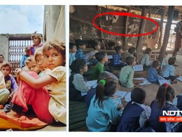 हे सरकार ! MP में दम तोड़ रही शिक्षा व्यवस्था, बिन स्कूल झोपड़ी में पढ़ने को मजबूर 'कल के भविष्य' हे सरकार ! MP में दम तोड़ रही शिक्षा व्यवस्था, बिन स्कूल झोपड़ी में पढ़ने को मजबूर 'कल के भविष्य'