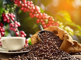 A Coffee Lovers Guide To Coffee From Various Regions Of India A Coffee Lovers Guide To Coffee From Various Regions Of India