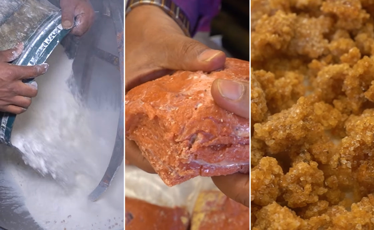 क्या आप जानते हैं कैसे बनती है हींग, खाने का जायका बढ़ाने वाली इस चीज का क्या है असली सोर्स, देखें VIDEO