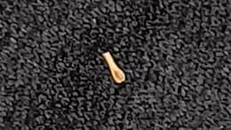 World's Smallest Wooden Spoon From India Sets Guinness World Record. You Wont Believe How Small It Is