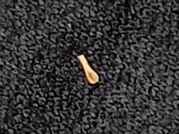 दुनिया का सबसे छोटा चम्मच बनाकर भारत के शशिकांत ने बनाया गिनीज वर्ल्ड रिकॉर्ड दुनिया का सबसे छोटा चम्मच बनाकर भारत के शशिकांत ने बनाया गिनीज वर्ल्ड रिकॉर्ड