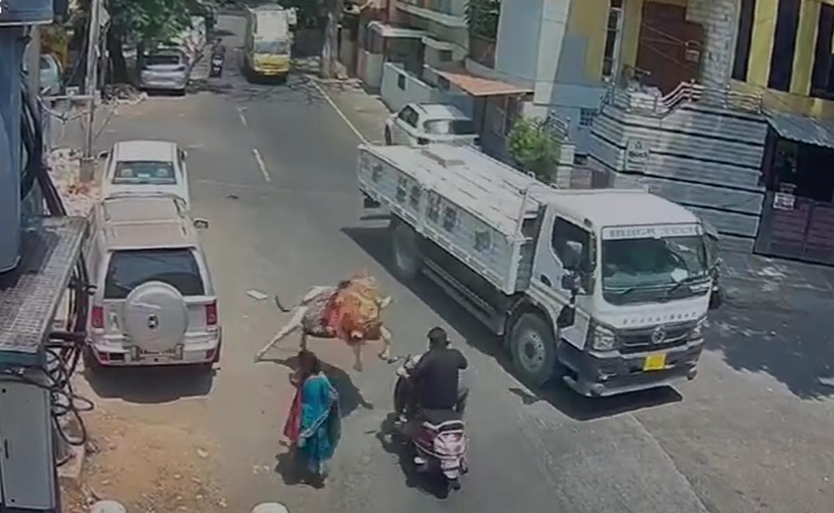 Video : सांड ने अचानक सामने से आते स्कूटी सवार को मारी टक्कर; ट्रक के नीचे आने से बचा, सौभाग्य ऐसा कि लगी मामूली चोट