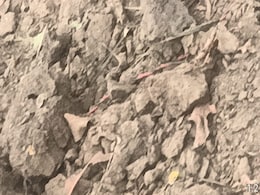 Loksabha Election : पीएम मोदी के छत्तीसगढ़ दौरे के पहले बस्तर में नक्सलियों ने की IED ब्लास्ट, जवान भारी पड़े तो भागे Loksabha Election : पीएम मोदी के छत्तीसगढ़ दौरे के पहले बस्तर में नक्सलियों ने की IED ब्लास्ट, जवान भारी पड़े तो भागे