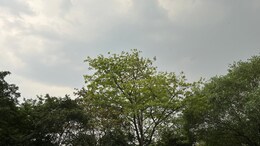 Weather Update: &nbsp;राजस्थान सहित दिल्ली-NCR में बदला मौसम का मिजाज, बारिश से गर्मी से मिली राहत, IMD ने जारी किया ये अलर्ट