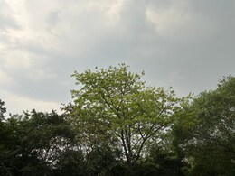 Weather Update:  राजस्थान सहित दिल्ली-NCR में बदला मौसम का मिजाज, बारिश से गर्मी से मिली राहत, IMD ने जारी किया ये अलर्ट Weather Update:  राजस्थान सहित दिल्ली-NCR में बदला मौसम का मिजाज, बारिश से गर्मी से मिली राहत, IMD ने जारी किया ये अलर्ट