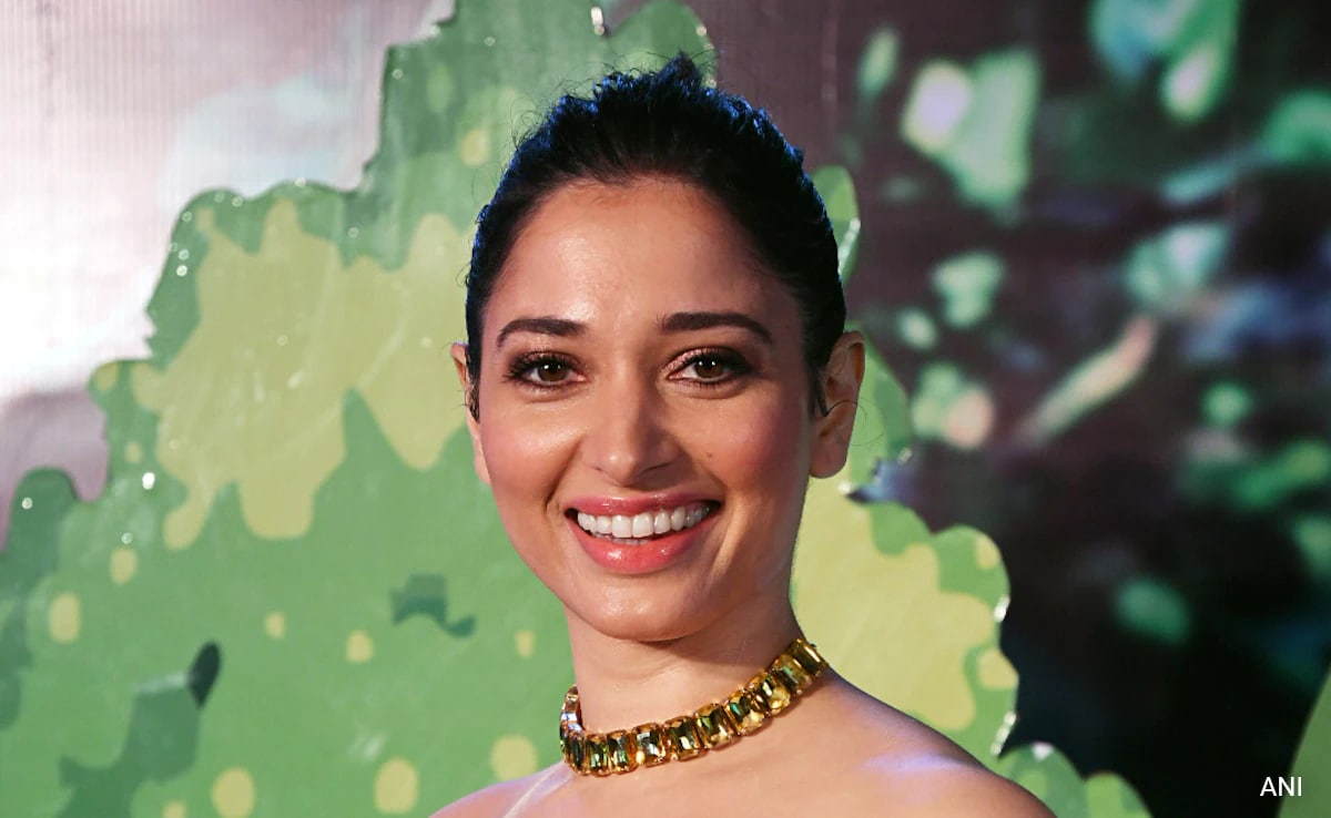 All About Illegal IPL Streaming Case Involving Actor Tamannaah Bhatia, Singer Badshah - Vimarsana News