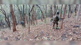 Chhattisgarh: लगातार एनकाउंटर के बाद पुलिस की अपील का माओवादियों पर दिखा असर, एक साथ इतने खूंखारों ने डाले हथियार