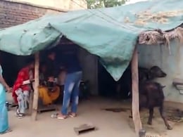 UPSC निकालानंतर कच्चा घरातील सेलिब्रेशन डोळ्यात पाणी आणणारं! 