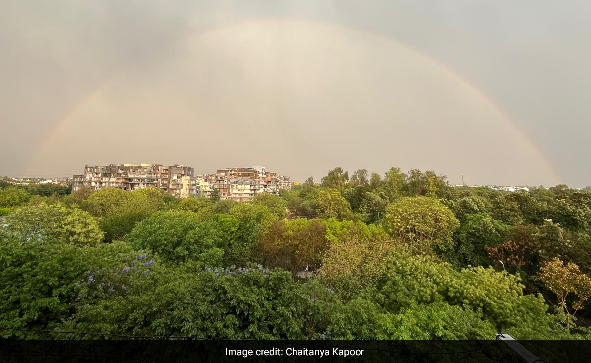 Rain, Strong Winds In Parts Of Delhi Bring Relief From Sweltering Heat
