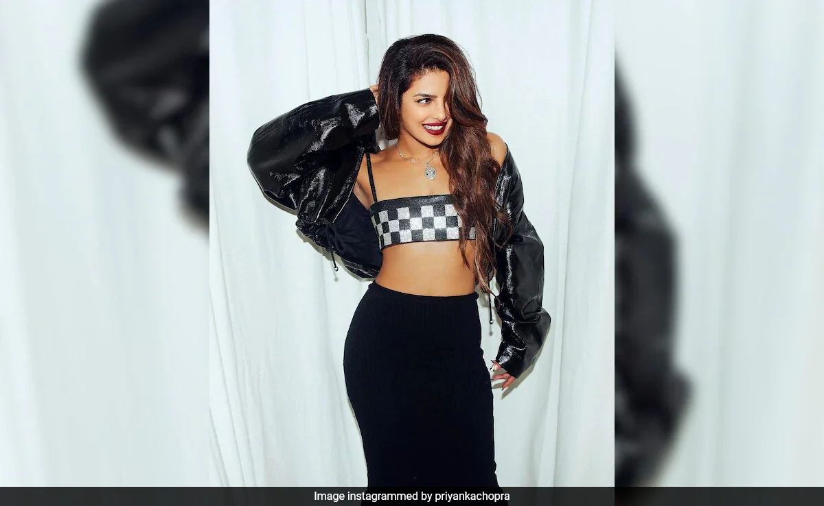 Priyanka Chopra On "Straddling" Hollywood And Bollywood: "It's Almost Been 10 Years"