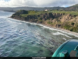 Pilot And Dog Swim To The Shore After Surviving Plane Crash Off California Coast Pilot And Dog Swim To The Shore After Surviving Plane Crash Off California Coast
