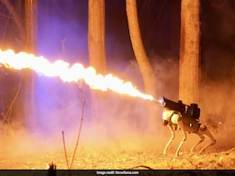 Thermonator: US Company Unveils Flamethrower-Wielding Robot Dog Thermonator: US Company Unveils Flamethrower-Wielding Robot Dog