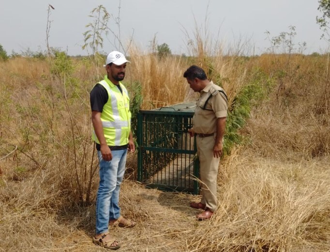 Leopard Spotted Near Hyderabad Airport, Forest Officials Set Up Traps