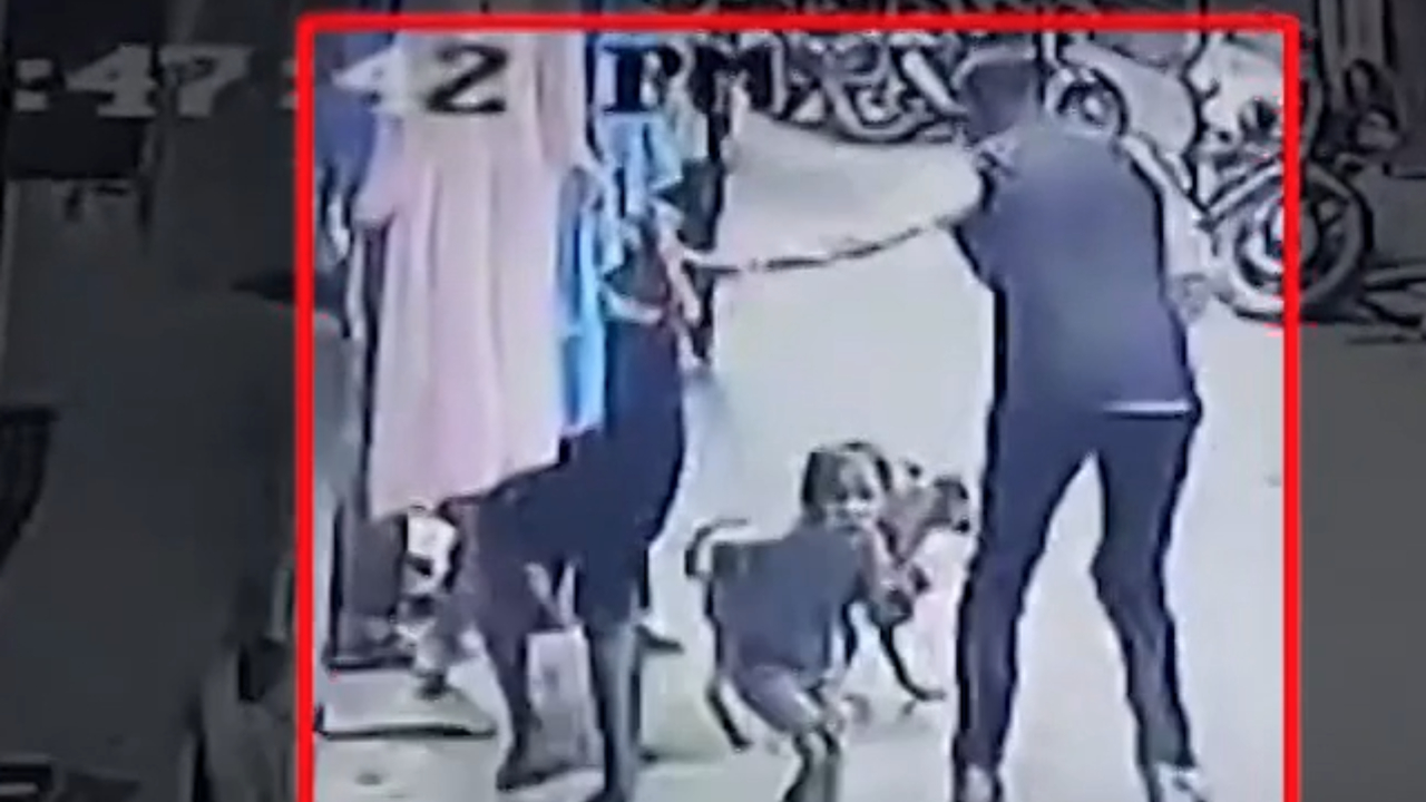 भोपाल: स्ट्रीट डॉग ने फिर बनाया बच्चे  को निशाना, वीडियो CCTV में कैद