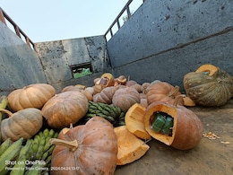 Drugs Worth Rs 3.5 Crore Found Stuffed Inside Pumpkins In Manipur Drugs Worth Rs 3.5 Crore Found Stuffed Inside Pumpkins In Manipur