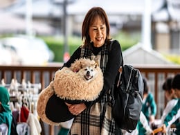From Rescue Pup To Global Icon: Story Of Real Life 'Dogecoin' Dog From Rescue Pup To Global Icon: Story Of Real Life 'Dogecoin' Dog
