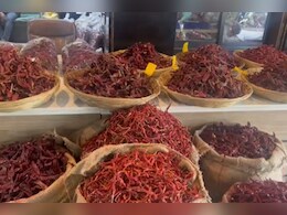 लाल मिरच्यांचा 'ठसका' निम्म्याहून कमी; 400 किलो मिरच्या 150 रुपयांवर