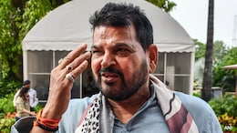 Brij Bhushan's "Conspiracy" Charge After Vinesh Phogat, Bajrang Punia Join Congress