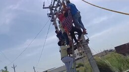 Video: UP Man Busts Wife's Extramarital Affair, She Climbs Electric Pole