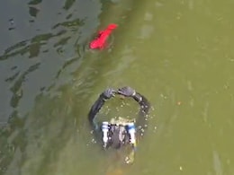 Watch: Divers Retrieve Pistol From River In Salman Khan House Firing Case Watch: Divers Retrieve Pistol From River In Salman Khan House Firing Case