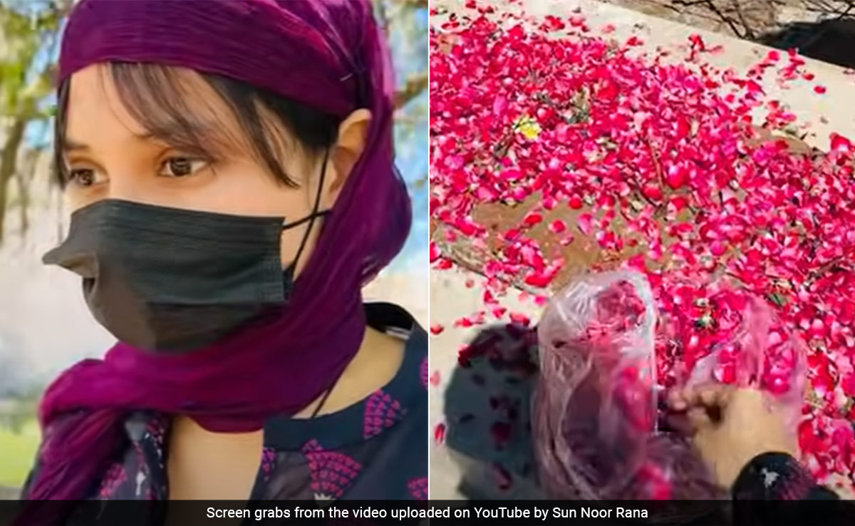 Pakistani YouTuber Criticised After She Documents Her Visit To Sister's Grave: ''Shame On You''
