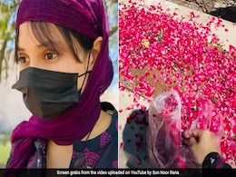Pakistani YouTuber Criticised After She Documents Her Visit To Sister's Grave: ''Shame On You'' Pakistani YouTuber Criticised After She Documents Her Visit To Sister's Grave: ''Shame On You''