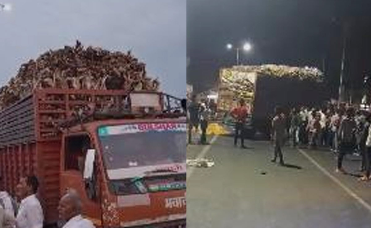 MP News: उज्जैन में गाय की हड्डियों और शराब से भरा ट्रक पकड़ा गया, हिंदूवादी संगठन ने किया हंगामा