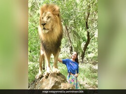 PHOTOS: बॉयफ्रेंड के साथ मॉरिशस के जंगलों में पहुंचीं जैस्मिन भसीन, कभी मोर, कभी शेर, तो कभी जिराफ संग दिया पोज PHOTOS: बॉयफ्रेंड के साथ मॉरिशस के जंगलों में पहुंचीं जैस्मिन भसीन, कभी मोर, कभी शेर, तो कभी जिराफ संग दिया पोज