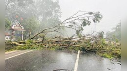 विदर्भात अवकाळीचा तडाखा; बुलडाणा, वाशिम, अकोल्याला वादळी वाऱ्यासह पावसानं झोडपलं