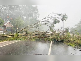 विदर्भात अवकाळीचा तडाखा; बुलडाणा, वाशिम, अकोल्याला वादळी वाऱ्यासह पावसानं झोडपलं