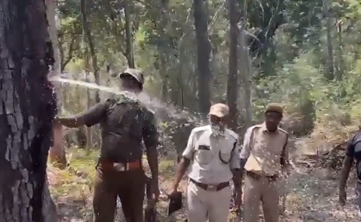 पेड़ पर कुल्हाड़ी मारते ही छूटने लगा पानी का फव्वारा, नजारा देख हैरत में पड़े लोग पेड़ पर कुल्हाड़ी मारते ही छूटने लगा पानी का फव्वारा, नजारा देख हैरत में पड़े लोग