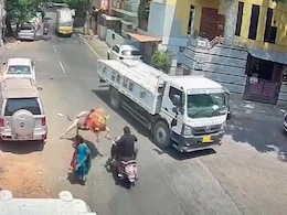 Video: Bull Pounces On Scooter In Bengaluru, Trucker's Quick Thinking Saves Rider