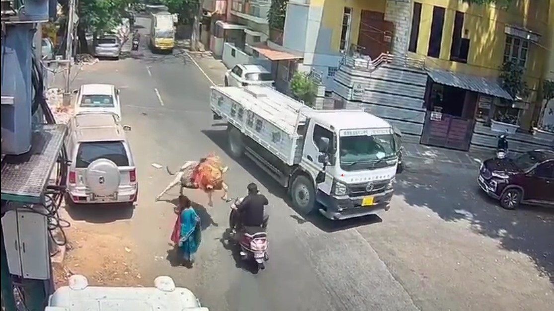 Video: Bull Pounces On Scooter In Bengaluru, Trucker’s Quick Thinking Saves Rider Video: Bull Pounces On Scooter In Bengaluru, Trucker’s Quick Thinking Saves Rider