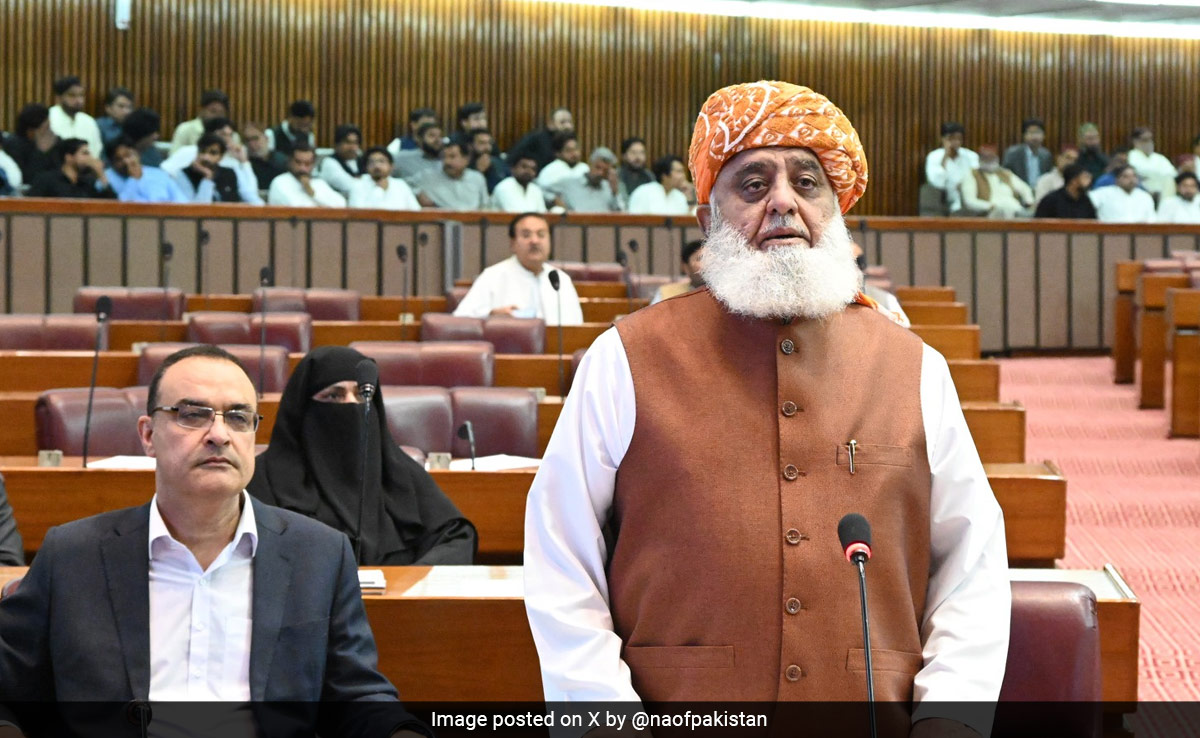 Pak Minister's Viral Comparison With India: "...And We Are Begging"