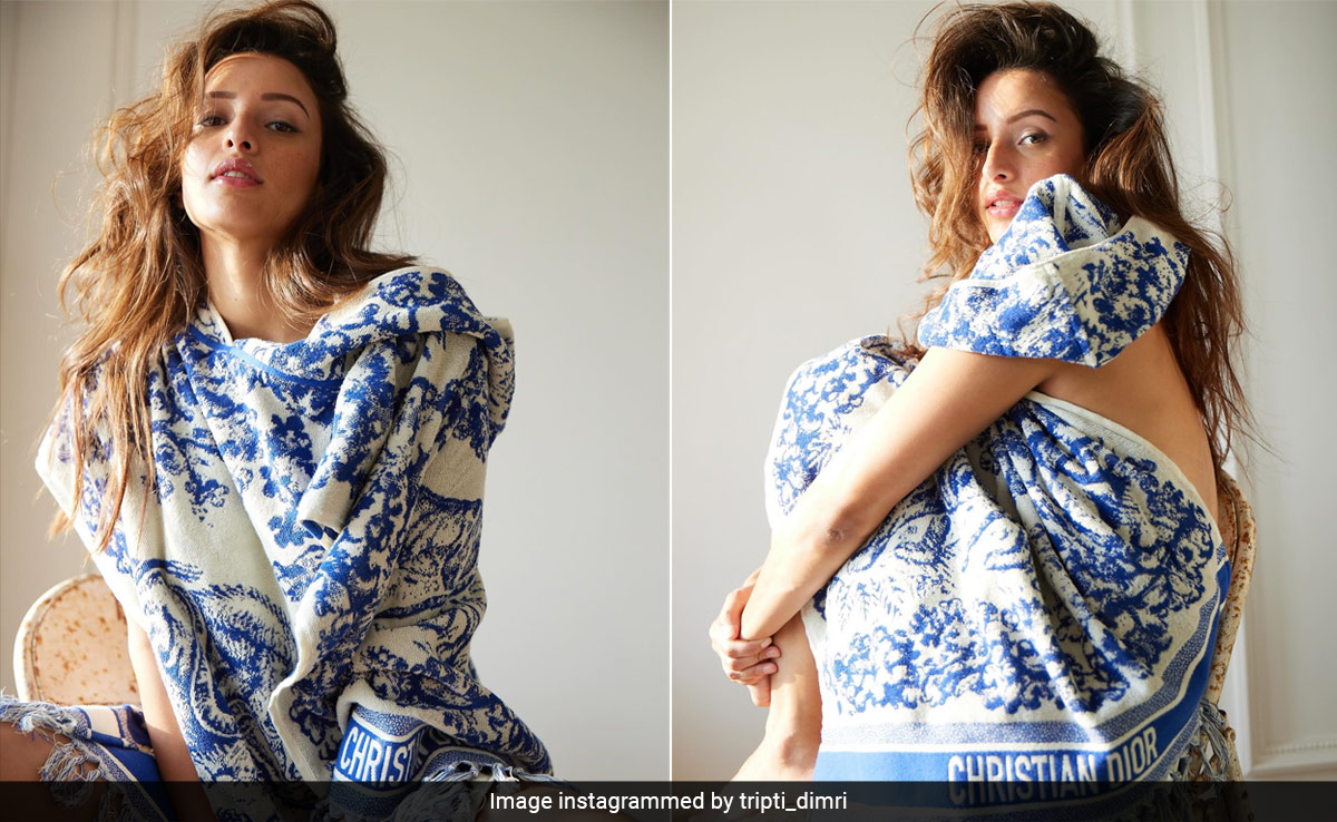 Triptii Dimri's "Monday Blues" In A Blue And White Christian Dior Towel Hooded Poncho Is A Respite For Tuesdays Too
